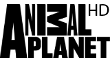 Animal planet logo
